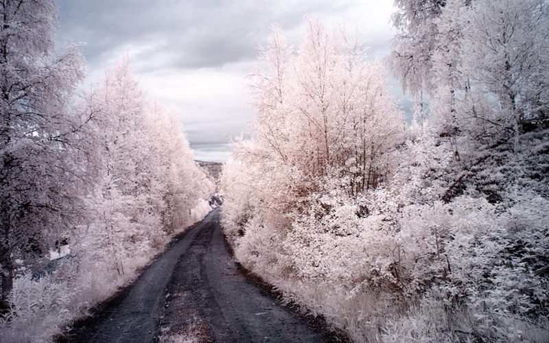 摄影技巧：红外摄影下的绿色变成了雪景--阿里百秀